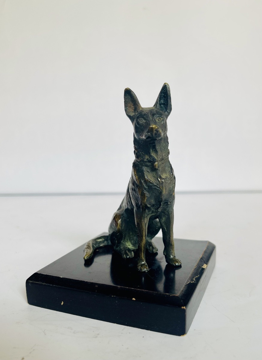 German Bernier Dog In Bronze -photo-6